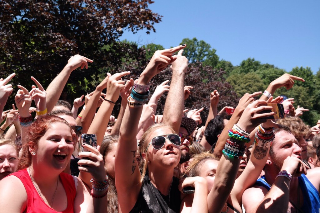 AtillaCrowd ©2014 Henry Chung