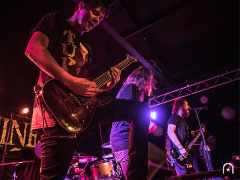 chasingsafety-planettrog-2017-henry-chung-09